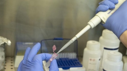 Nuovo virus pandemico? 'Sorvegliato dal 2011'