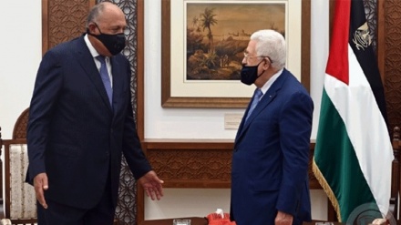 שר החוץ המצרי נפגש ברמאללה עם הנשיא הפלסטיני אבו מאזן