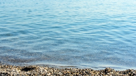 Дили  дарёӣ