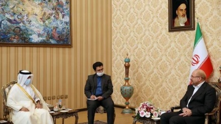 Իրանի խորհրդարանի նախագահ. Պարսից ծոցի անվտանգությունը  կարող է ապահովվել  հարևան երկրների համագործակցության միջոցով
