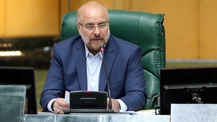 イラン国会議長「イランはＩＡＥＡの過剰な要求に対抗」