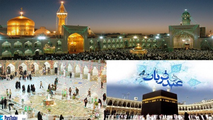 ईदे क़ुरबान के मौक़े ईरान की आध्यात्मिक राजधानी में श्रद्धालुओं का जनसैलाब, इस ईद की क्या है विशेषता? 
