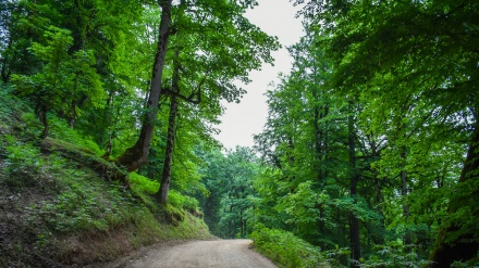 روستای زیبای نغندر- یکی از مکان های دیدنی طرقبه مشهد
