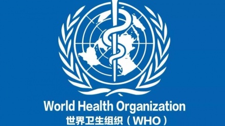 世卫组织：全球新冠确诊病例突破1600万例