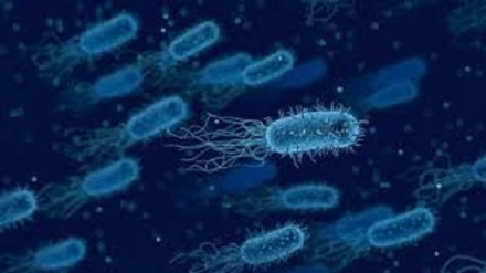 کشف روش جدید نابودی باکتری‌ها بدون نیاز به آنتی بیوتیک