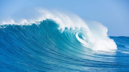 روی موج جوانی