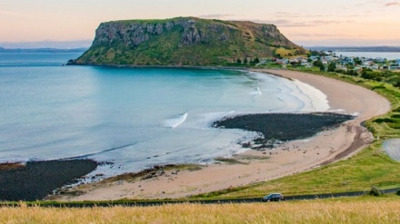 豪タスマニア島沖でサメが、ボートの少年を攻撃　