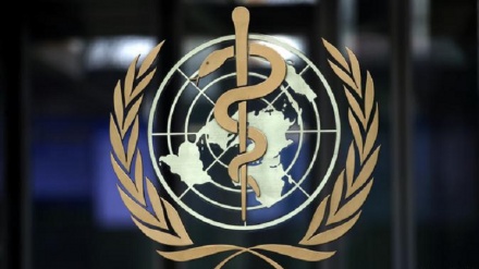 WHO先遣小组已赴中国调查新冠病毒起源