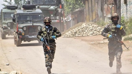 Indian military killed 229 in Kashmir in first half of 2020: Group