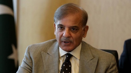 巴基斯坦党呼吁国际社会反对吞并西岸的计划