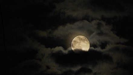 Вой аз шаби ман