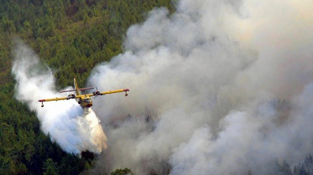 El fuego no entiende de pandemias: el riesgo por incendios es extremo en España y Portugal+Video