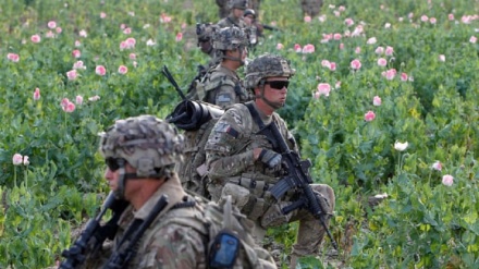 Taliban Peringatkan Pasukan AS di Afghanistan