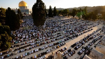 パレスチナ・アクサーモスクで犠牲祭の集団礼拝、数万人が参加（動画）