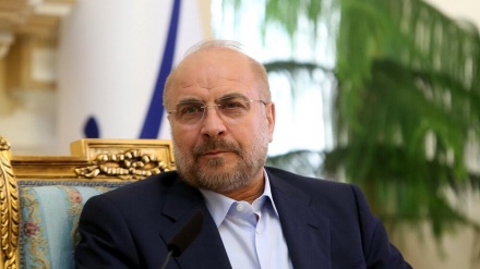 卡利巴夫：抵抗外表衣冠整齐的恐怖分子总会取得胜利