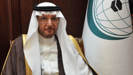 OICイスラム協力機構が、UAEとシオニスト政権間との関係正常化に反対