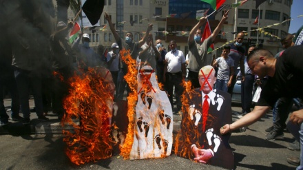 वीडियो रिपोर्टः संयुक्त अरब इमारत के कारण पूरा अरब और इस्लामी जगत हुआ शर्मसार, कैसे कोई अरब देश मुसलमानों से ग़द्दारी कर सकता है?