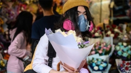 The way the coronavirus messes with smell hints at how it affects the brain