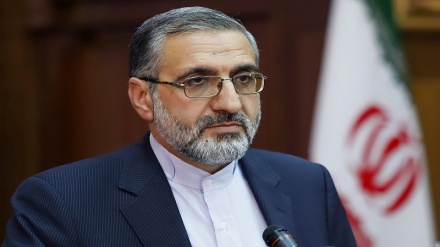 اسماعیلی: محکومان در هیچ کشوری به اندازه ایران مشمول عفو نمی‌شوند