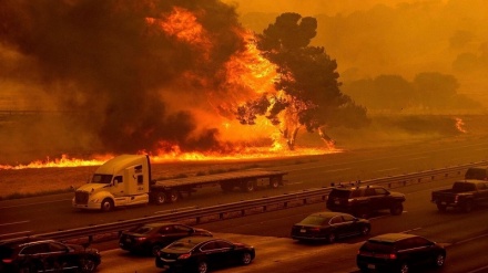 38 کشته و زخمی در آتش سوزی جنگل های کالیفرنیا