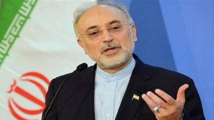 صالحی: ملاحظات اصولی ایران در بیانیه مشترک با آژانس در نظر گرفته شد