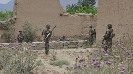 کشته شدن 3 نیروی امنیتی در نتیجه انفجاری در ارزگان