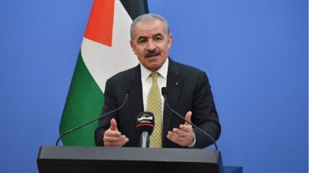 穆罕默德·埃什塔耶：阿联酋的此举是退出阿拉伯共识