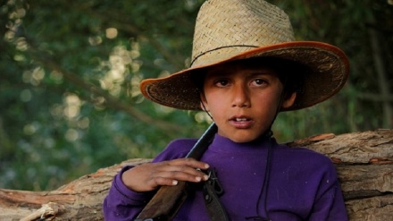 Un iraniano tra i premiati del Film Festival della Lessinia 2020