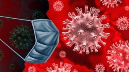 15 milion njerëz në botë shërohen nga virusi korona