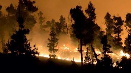 Un incendio en la isla española de La Palma obliga a evacuar a 300 personas 