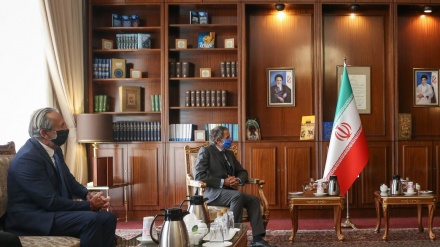 Canciller iraní se reúne con el director general de la AIEA+Video+Fotos