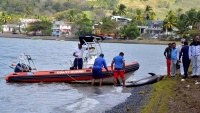 モーリシャスの海岸で、重油流出が原因でイルカが打ち上げられる