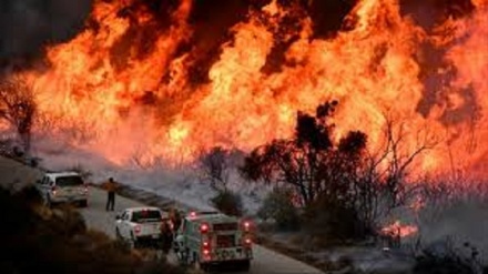 نابودی میلیون ها هکتار جنگل  در آتش‌سوزی‌های کانادا