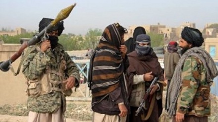 پنتاگون: طالبان روابط‌‌‌‌ خود را با القاعده حفظ کرده است