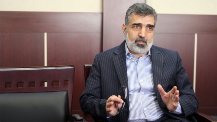 卡马勒万迪：国际原子能机构提出的疑虑应提供新的证据