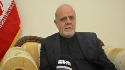 伊朗驻巴格达大使：向卡迪米亚提供人道主义援助