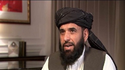 Taliban Siap Berpartisipasi di Pemerintahan Transisi 