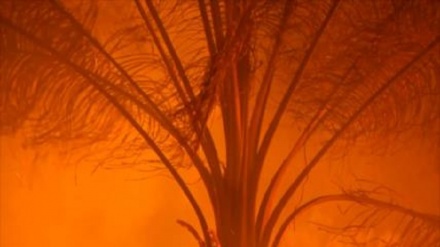 Video: En Brasil pueden repetirse catastróficos incendios como 2019