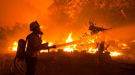 米ロサンゼルスの山林で、大規模な山火事が発生