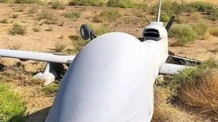 חזבאללה: הפלנו מל