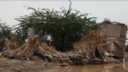 Karena Banjir, Penderitaan Rakyat Yaman Bertambah