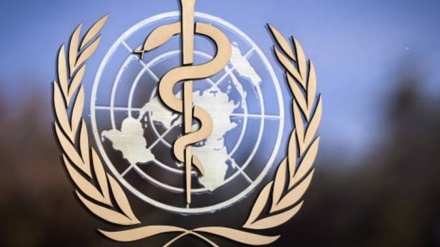 世界卫生组织在中国的研究结束