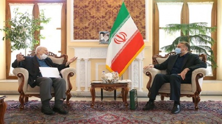 阿米尔·阿卜杜拉希安：阿联酋与犹太复国主义者恢复关系的行为是战略错误