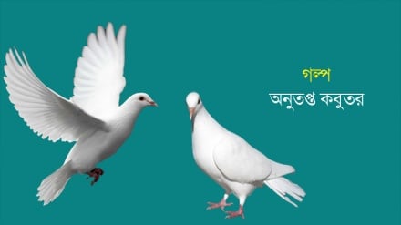 রংধনু আসর: অনুতপ্ত কবুতর