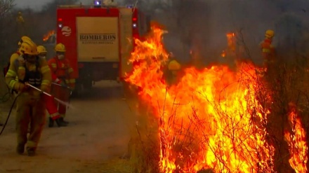 Video: Miles de bomberos combaten incendios forestales en Argentina