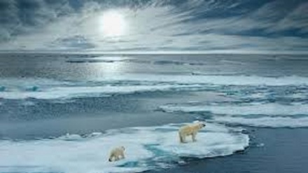 I ghiacci artici destinati a sparire nel 2035