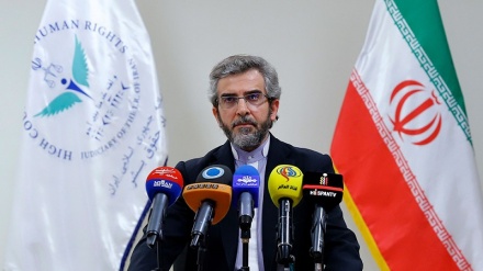 イラン司法府人権本部、「米国の外交政策はテロ、イランの絶対戦略はテロ対策」
