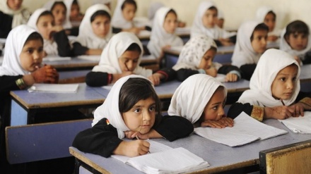  تکذیب بسته شدن مدارس دخترانه هرات افغانستان از طرف طالبان 