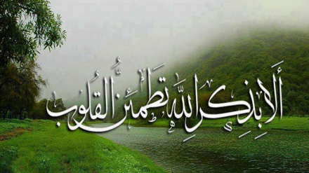 नया सवेरा- 6 ( Emily Creek)