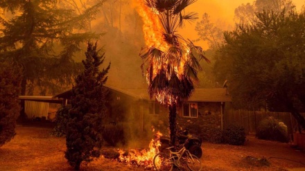 State of emergency declared in California as dozens of wildfires rage